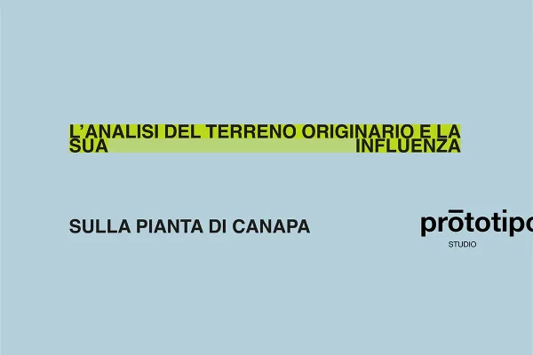 L'analisi del terreno originario e la sua influenza