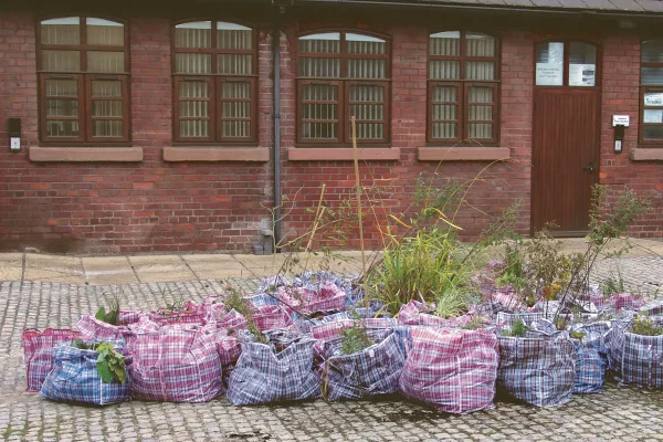 Lois-Weinberger-Portable-Garden-Ausstellungsansicht-Biennale-Liverpool-2004-Foto-Paris-Tsitsos