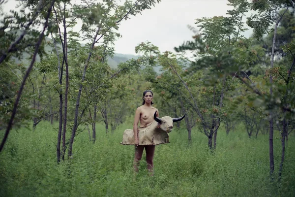Marisol Mendez, Bull