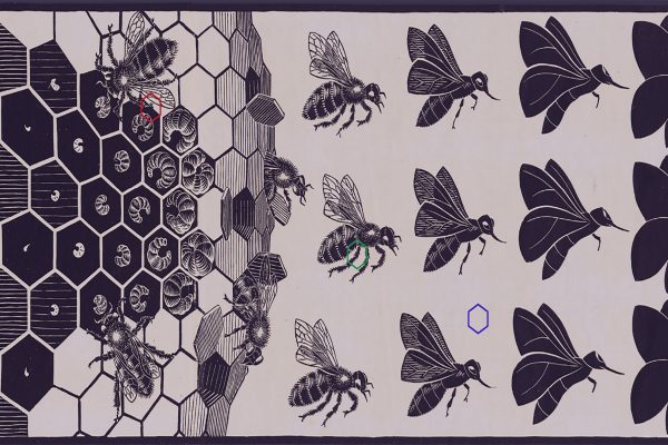 ‘ANIMAL METAMORPHOSES’ ESCHER ESCHER METAMORPHOSES