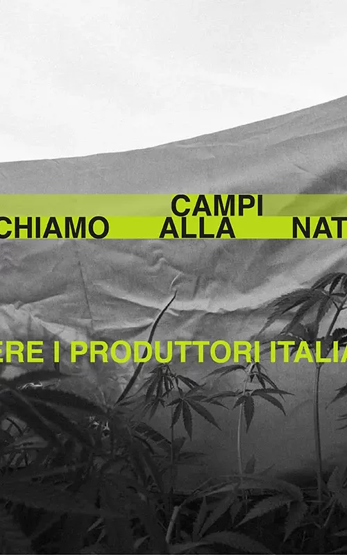 Opera Campi - un richiamo alla naturalità