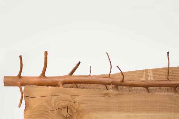 GIUSEPPE PENONE, RIPETERE IL BOSCO (1969-2017), PH. ALEXANDER BECKOVEN GIUSEPPE PENONE, RIPETERE IL BOSCO (1969-2017), PH. ALEXANDER BECKOVEN