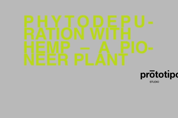 Prototipo Studio -Hemp Phytodepuration