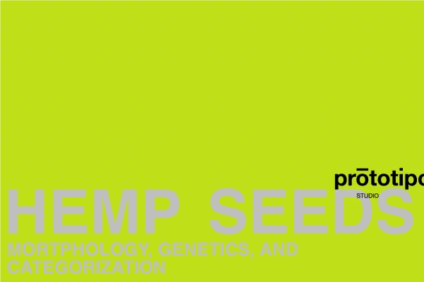 Prototipo Studio - Hemp seeds