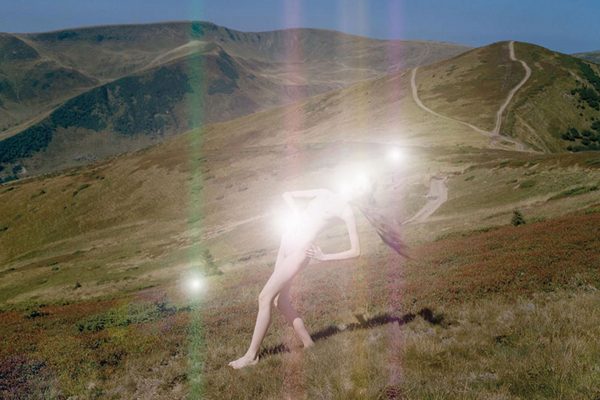 SYNCHRODOGS, SLIGHTLY ALTERED PROJECT, 2017 Synchrodogs, Slightly Altered project, 2017