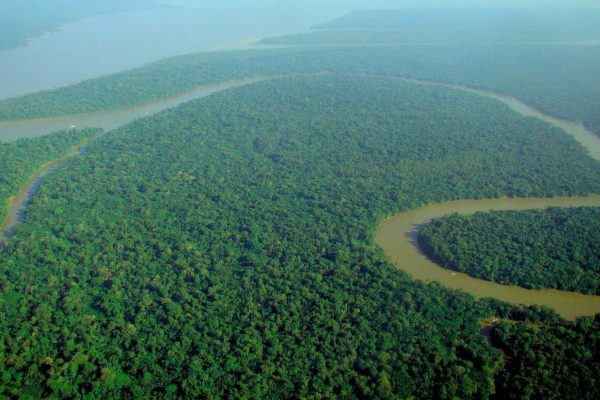 AMAZZONIA FOREST