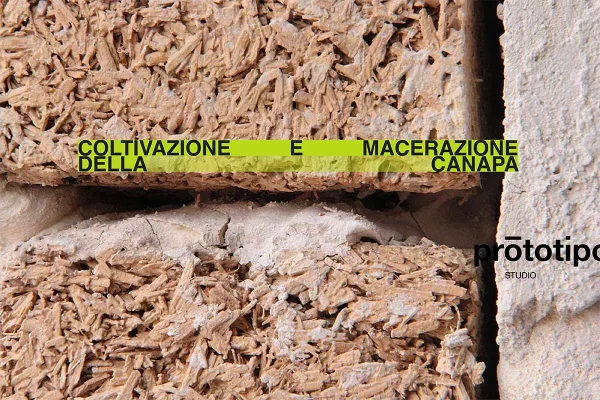 coltivazione e macerazione della canapa