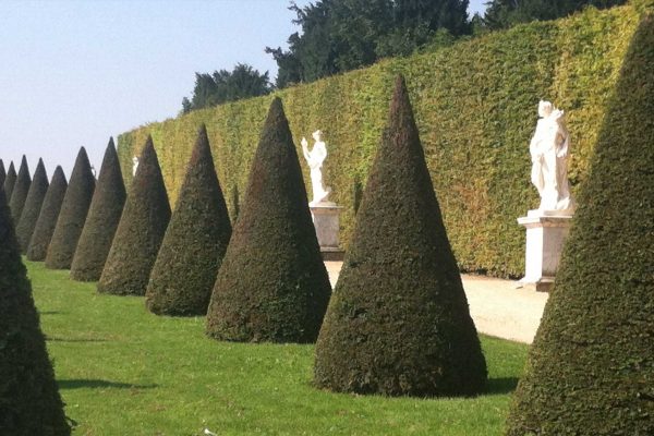 GARDENS AT VERSAILLES gardens at Versailles